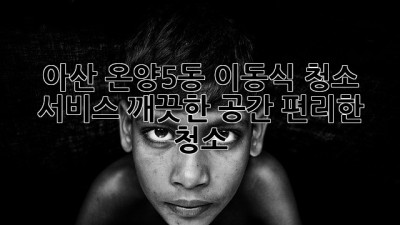 아산 온양5동 이동식 청소 서비스: 깨끗한 공간, 편리한 청소!